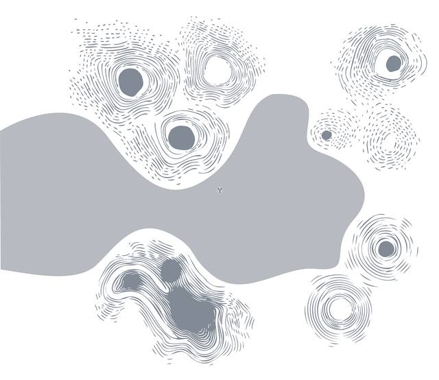 Floor graphic design of the space: flowing grey shapes and concentric line patterns